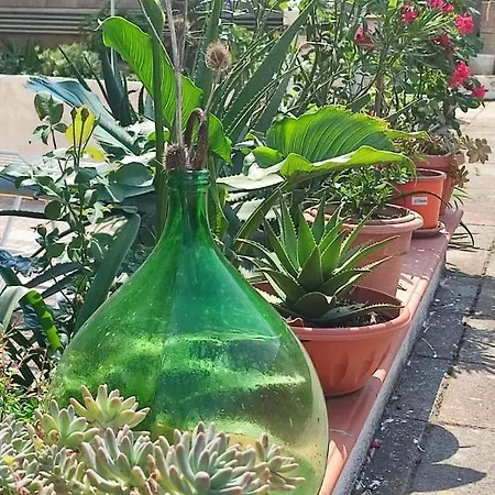 Daire Bordoriva Zinnowitz