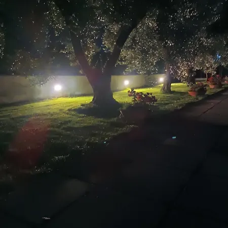 Bordoriva * Zinnowitz